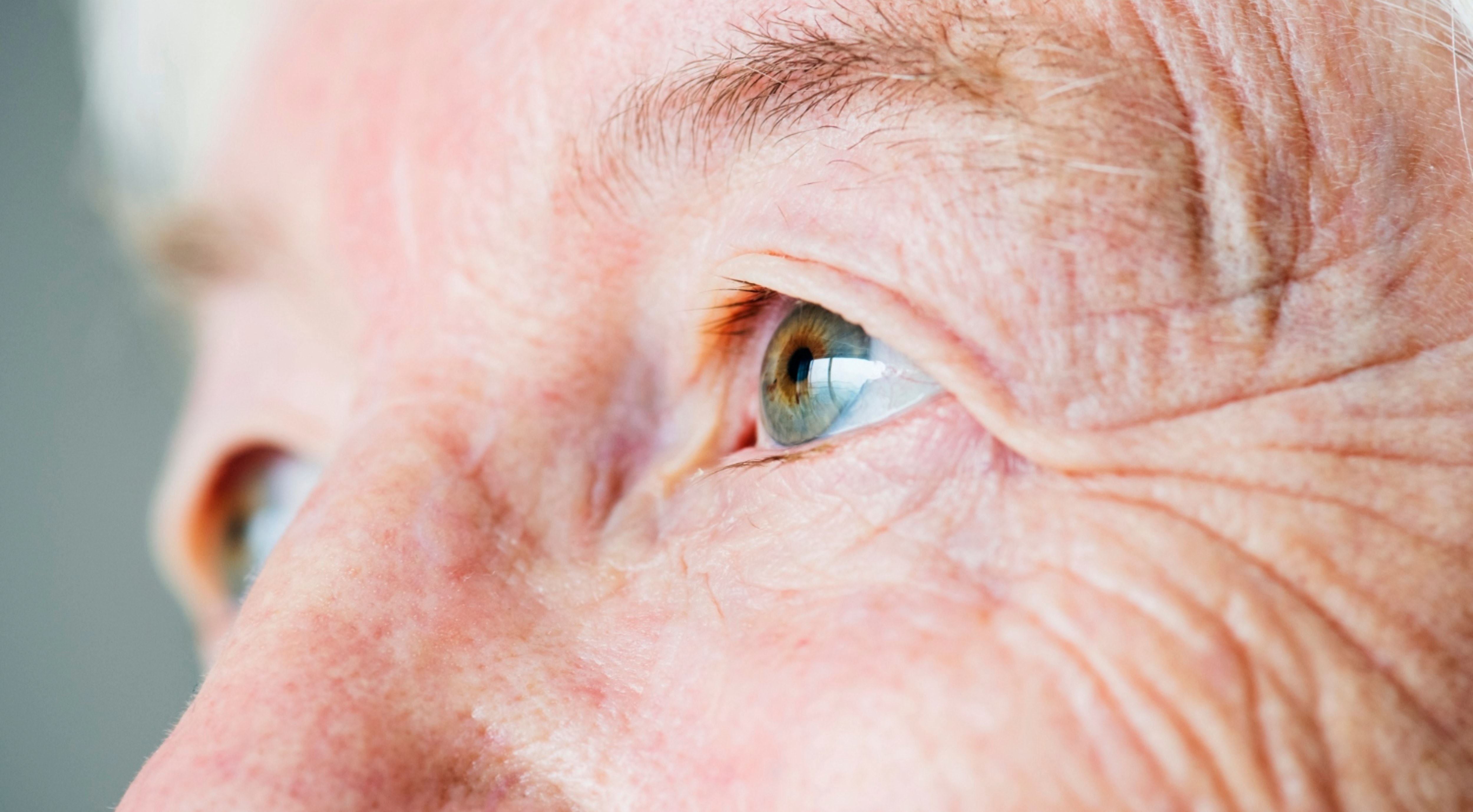 Everything_You_Need_to_Know_About_Cataracts Blog - Asheville Vision and Wellness | Asheville Eye Doctors