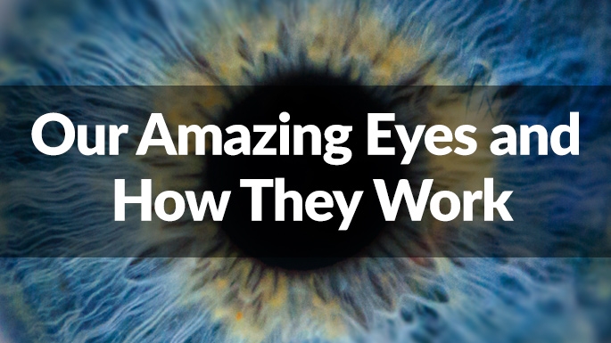 Our Amazing Eyes and How They Work