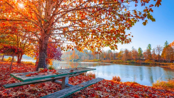 How to Protect Your Eyes During Fall